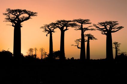 Madagascar: l’économie du pays portée par les investissements