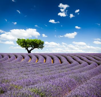 Agriculture : l&rsquo;UE et la Norvège libéralisent leurs échanges