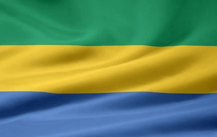 Pétrole : forte baisse des résultats de Total Gabon