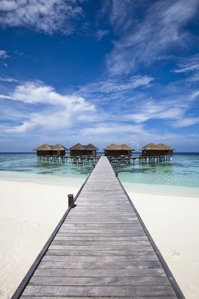 2011.07.04 OCM de la viande de volaille : principes et champ d’application