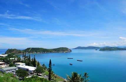 2011.07.04 Contrôle ou surveillance des mouvements des spécimens visés