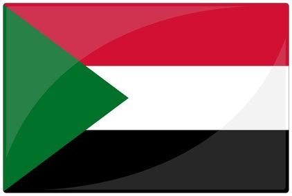 2011.07.04 Produits à base de viande et préparations de viandes