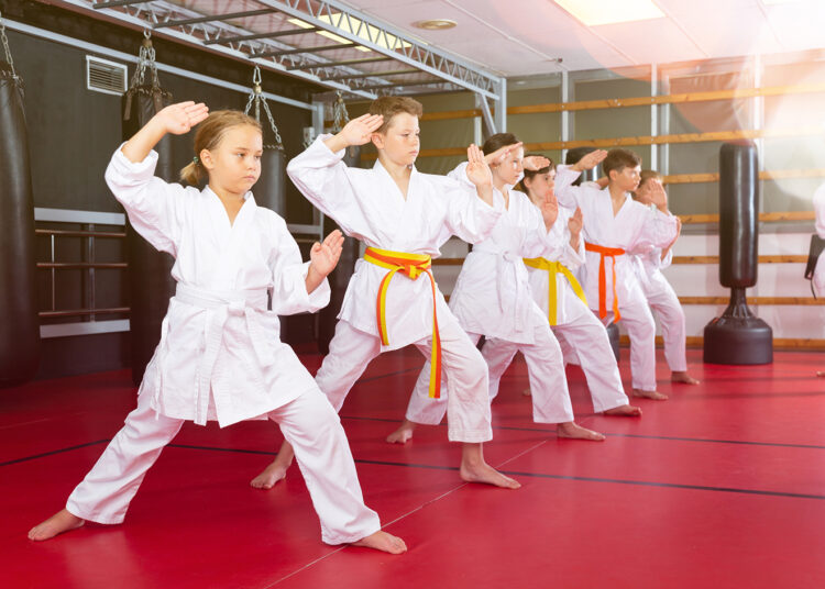 Dragon Bleu, leader européen de la vente en ligne d’équipements pour les arts martiaux