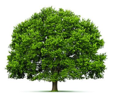 U.E : journée d’information le 8 mai sur le projet éco-innovation