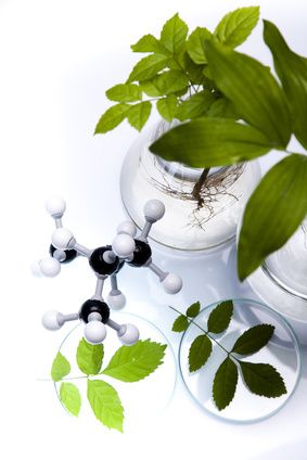 Biotechnologies: Biocitech et l’AP-HP s’associent