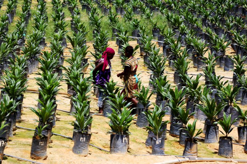 Exclusif : le Gabon à « un carrefour », selon le FMI