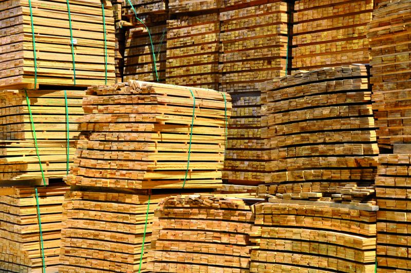 Entrée en vigueur du règlement de l’Union européenne sur le bois