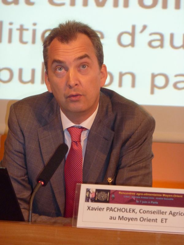 Arabie saoudite : les Français disposent de cinq ans pour creuser leur sillon dans l’agriculture