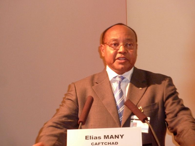 Tchad : « Il y a plus de grues à N’Djaména qu’à Douala »