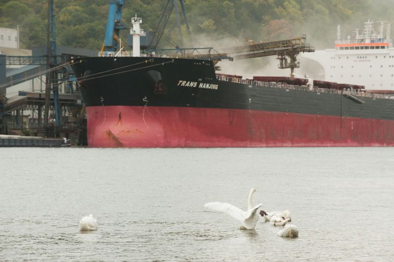 Haropa : le trafic maritime de vracs solides résiste bien