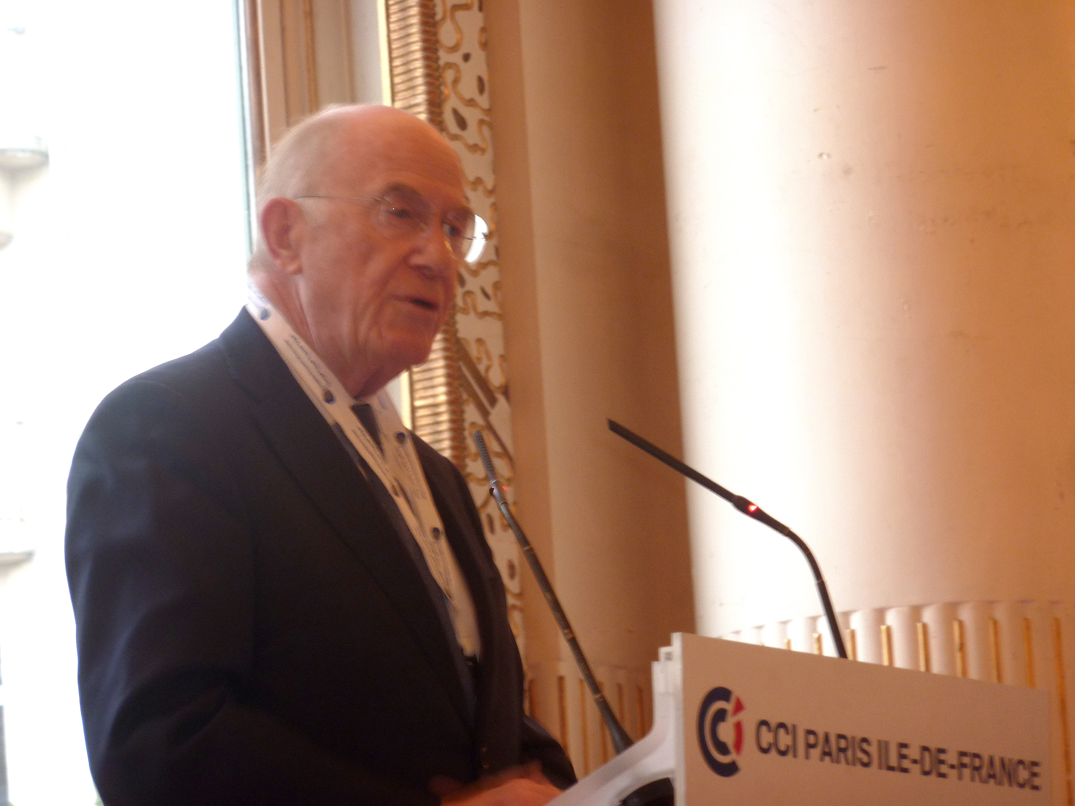 Pays arabes : face à la concurrence, la France doit contribuer au développement industriel et social