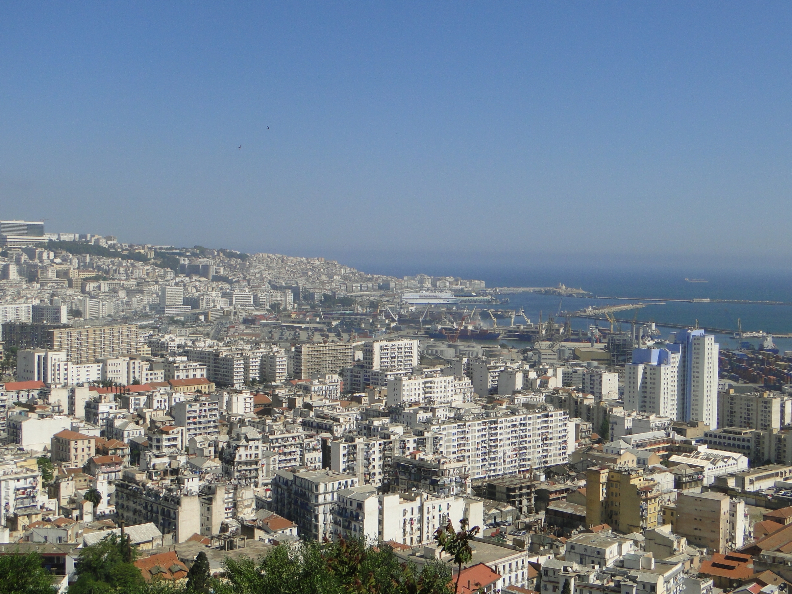 Algérie / Covid-19 : quelles mesures prévues par l’économie et les IDE