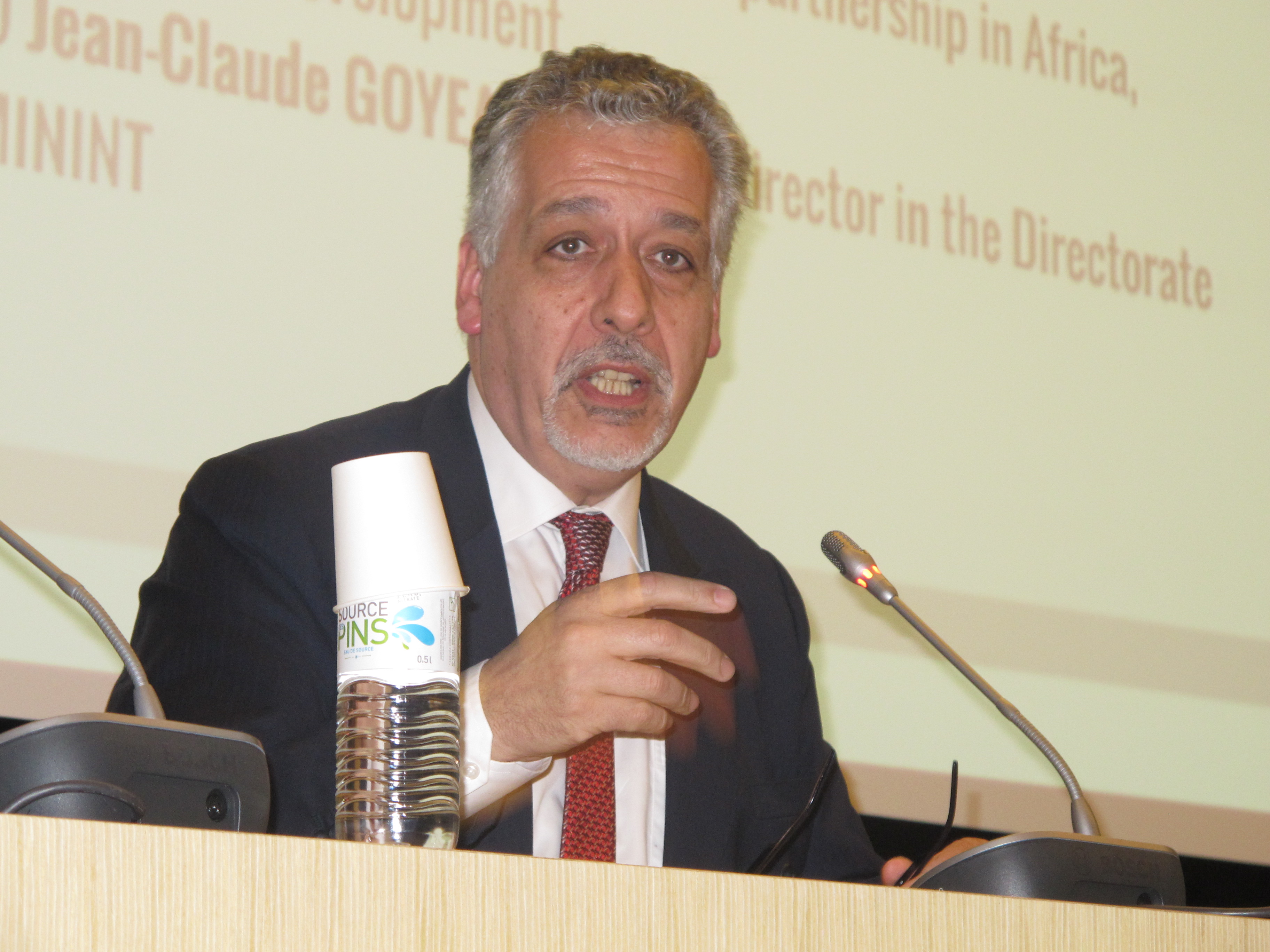 Afrique / Investissements : le partenariat franco-chinois avance, selon F. Barateau