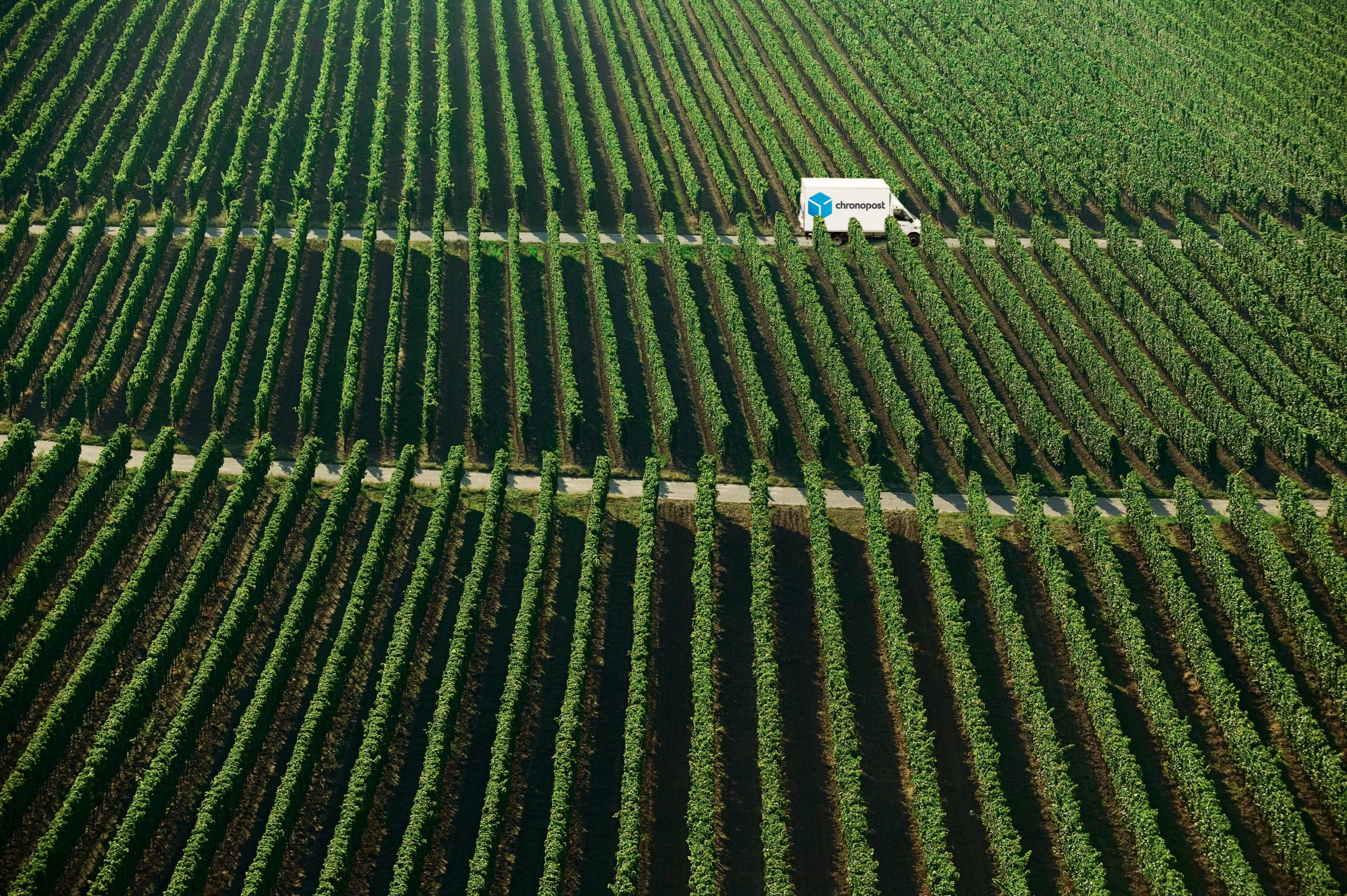 Vin / Logistique : Chronopost et la CCI de Bordeaux bousculent les pratiques de l’export