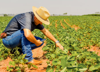 Commerce international : nouveau record pour les échanges de biens du G20