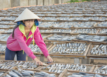 Demain dans vos agendas : Inde, agroalimentaire, e-commerce alimentaire aux Etats-Unis