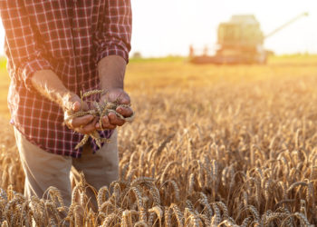Agroalimentaire : l’UE conforte sa position de premier exportateur mondial