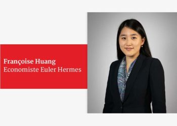 Quelles composantes à analyser pour évaluer le risque pays ?