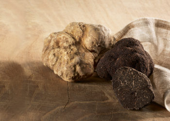 Entreprises : Plantin, ambassadeur de la truffe Made in France, se renforce à l’export