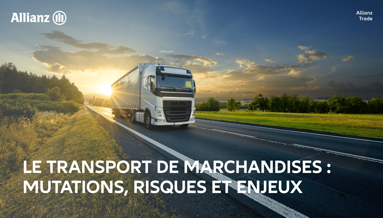 E-book – Le transport de marchandises : mutations, risques et enjeux