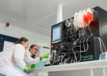 Entreprises : Treefrog Therapeutics accélère aux États-Unis pour industrialiser la thérapie cellulaire