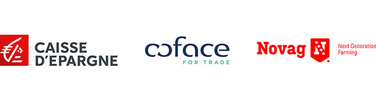 Se développer à l’international : comment bien s’entourer ?