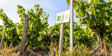 Demain dans vos agendas : Vins bio, Douane, Algérie