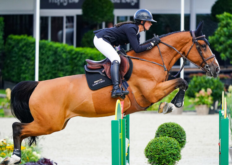 Entreprises : les selles Antarès se déploient à l’export au triple galop