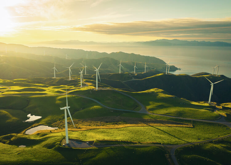 Les énergies renouvelables en passe de devenir la première source d’électricité dans le monde