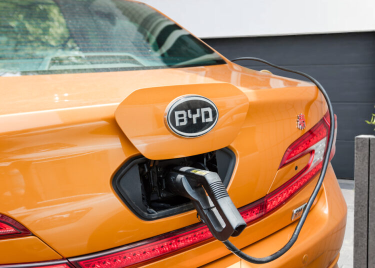 Les énergies renouvelables en passe de devenir la première source d’électricité dans le monde