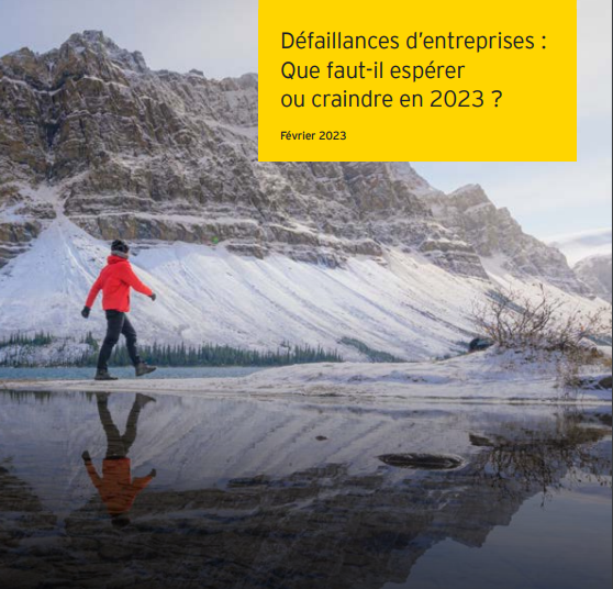 Défaillances d’entreprises : A quoi s’attendre pour l’année 2024 ?