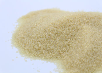 Du « plastique » à base de lait: comment la PME ligérienne Lactips mène de front l’industrialisation et l’internationalisation de sa technologie « verte »