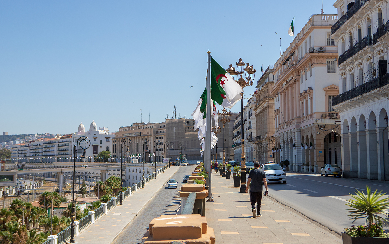 Ecosystème export, en bref : France, Algérie, Vision Golfe, CMA CGM, French Touch
