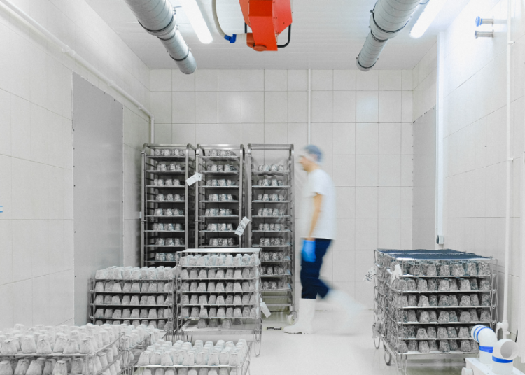 Exporter des produits sensibles ? Pourquoi la température n’est plus un détail