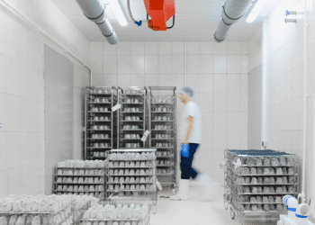 Surgelés, transit time et traçabilité : quand la chaîne du froid joue contre la montre