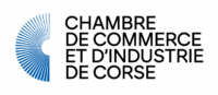 Sans titre