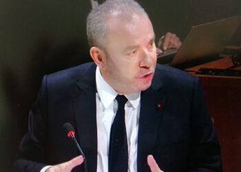 Ecosystème export, en bref : AFD, CCEF, FMES, France, Japon, Lituanie