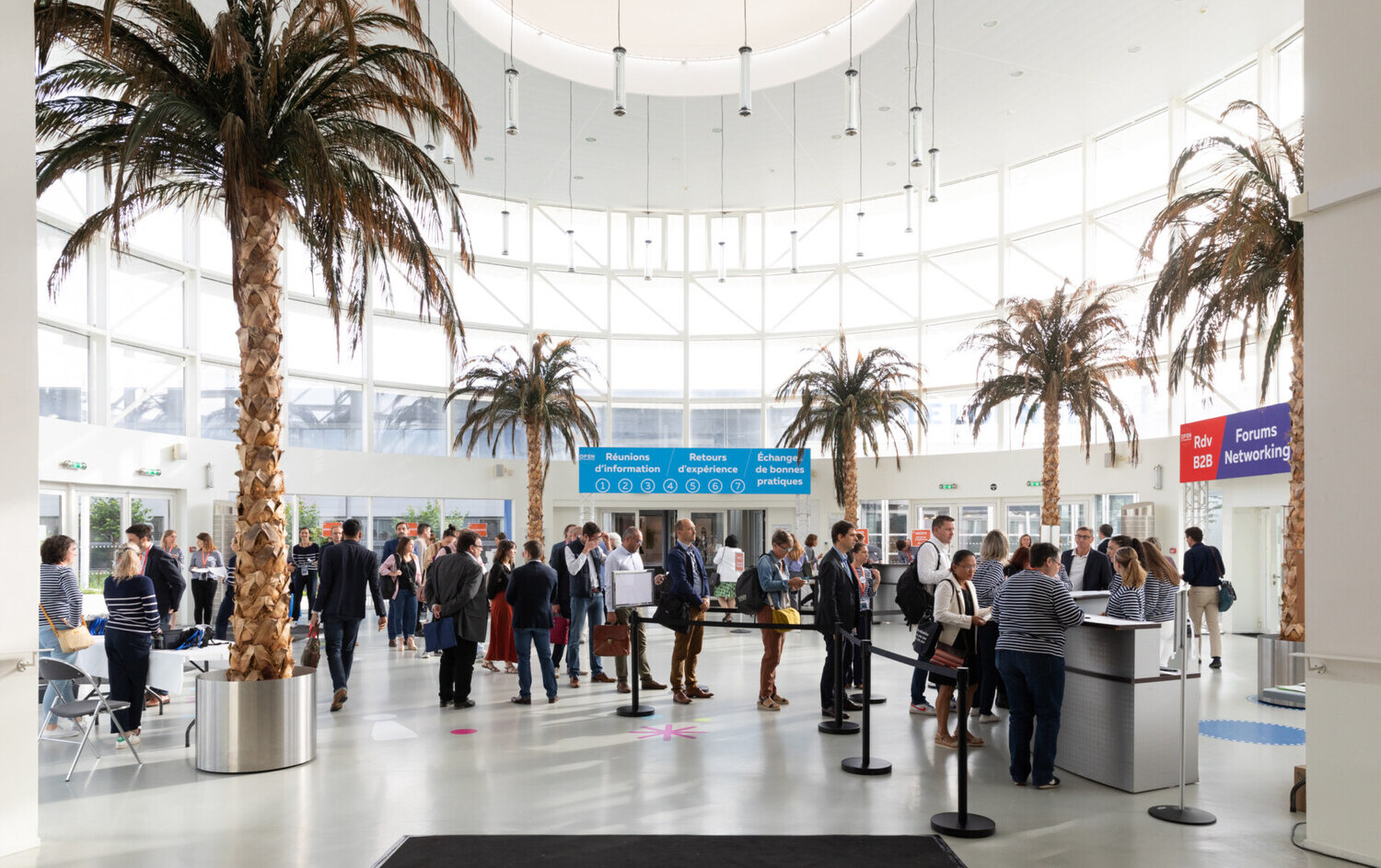 Tomorrow in your diaries: International Open, Africa, sports, renewable energies, summer university.