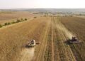 UE-Ukraine : La concurrence du maïs ukrainien donne des sueurs froides aux producteurs français