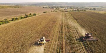 UE-Ukraine : La concurrence du maïs ukrainien donne des sueurs froides aux producteurs français 