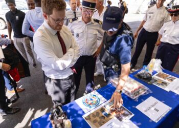 Ecosystème export, en bref : Guyane Douane 2030, Business France, Job en or, Sport export, Ambition Europe
