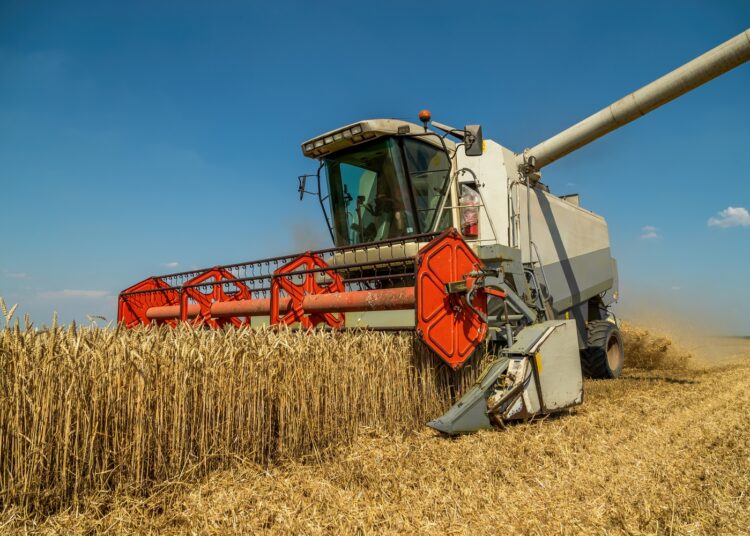 Demain dans vos agendas : agriculture et agroalimentaire, Fabrique de l’export, nautisme, Tchad, Amérique du Nord